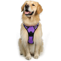 Large Dog Vest Leash For Dogs