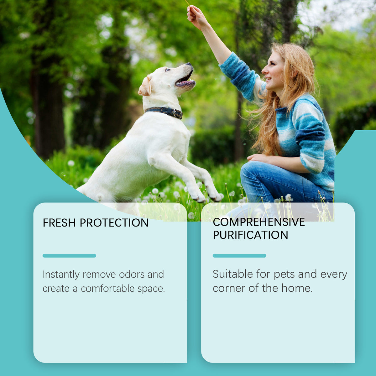 Pet Deodorant Spray, Gentle Pet Odor Eliminator For Dogs & Cats, Instantly Remove Bad Smell For Pet Bedding, Carpet & Ho