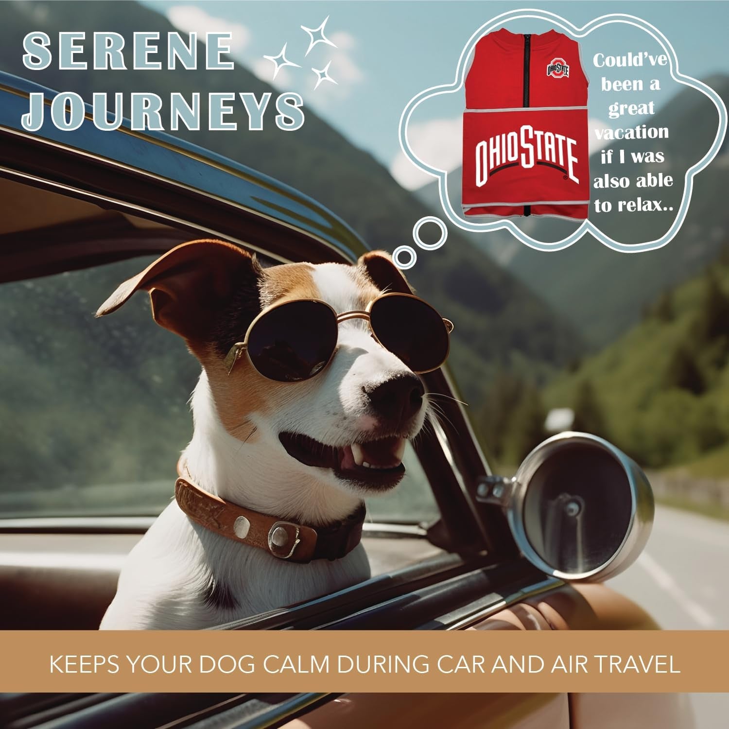 NCAA Calming Vest for Dogs & Cats – All Teams & Sizes