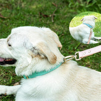 S M L Dog Collar