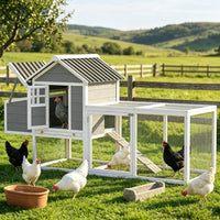 Chicken Coop