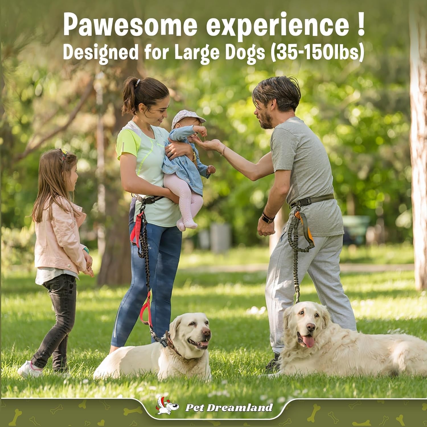 Exquisite Hands-Free Dog Leash for Large Dogs - BIG FRENCHIES