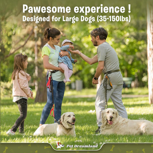 Exquisite Hands-Free Dog Leash for Large Dogs - BIG FRENCHIES