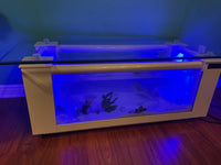 WARRANTY INCLUDED! 45 gallon GLASS rectangle table aquarium fish tank full setup