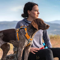 Journey Air Dog Harness, Vest Harnesses for Dogs, Pet Hiking Harness for Running & Walking, Reflective, Padded, Includes Control Handle, No Pull Front Clip (Orange, Small)