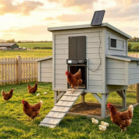 Solar Powered Automatic Chicken Coop Door with 4 Control Modes Light Sensor Timer Remote Manual, Anti-Pinch Weatherproof
