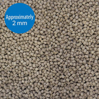 TROPICAL PELLETS Sinking Pellets Fish Food 4.2-Ounce Container, Medium (823B) - BIG FRENCHIES