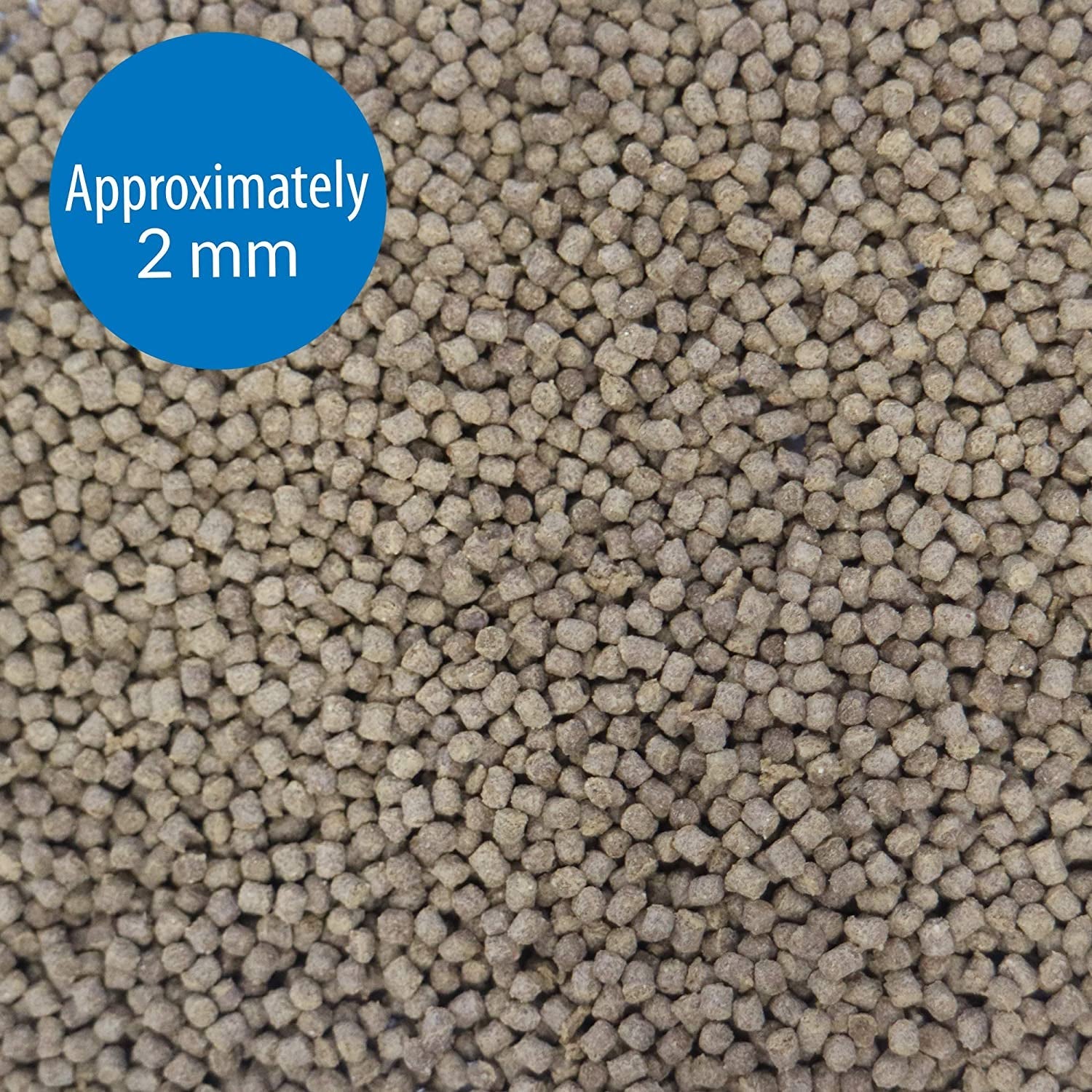TROPICAL PELLETS Sinking Pellets Fish Food 4.2-Ounce Container, Medium (823B) - BIG FRENCHIES