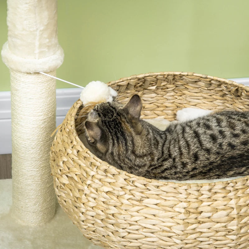 Elevated Cat Bed With Sisal Scratching Post For Indoor Kitties, Modern Cat Tree With Cute Basket Design, Small Cat Tree 