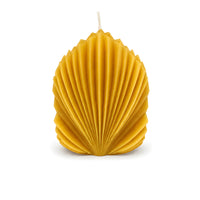 Architectural Seashell Design Beeswax Candle