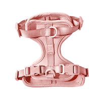 Harness