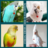 Parrot Bells Parrot Collar Necklace Parrot Decoration Parrot Scarf Clothes Budgerigar Peony Parrot Cockatiel Golden Sun Parrot - BIG FRENCHIES