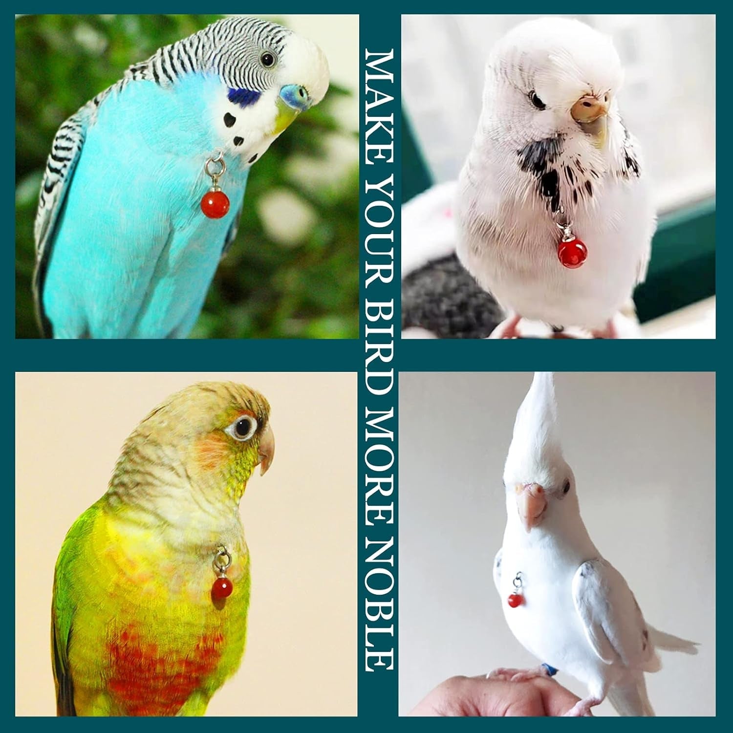 Parrot Bells Parrot Collar Necklace Parrot Decoration Parrot Scarf Clothes Budgerigar Peony Parrot Cockatiel Golden Sun Parrot - BIG FRENCHIES