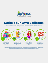 Balloonee Standard Disposable Helium Party Kit - BIG FRENCHIES