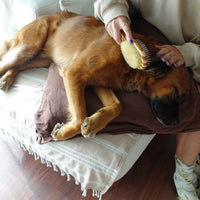 Tilley + Me Two-Sided Pet Brush – Bristle & Wire for Shedding & Detangling