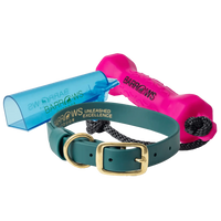 Barrows Training Bumper Pack - Pink