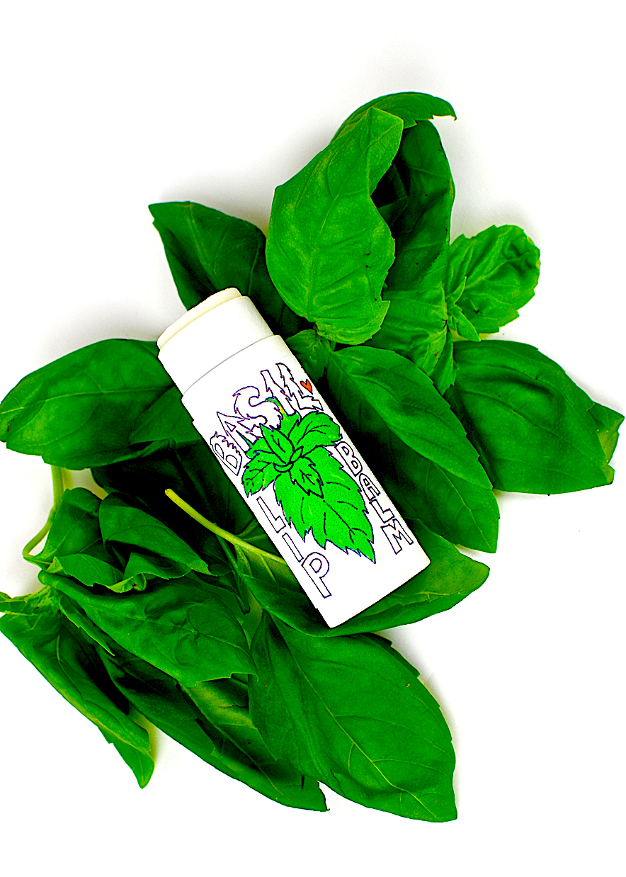 BASIL LIP BALM (from the dream world) - BIG FRENCHIES