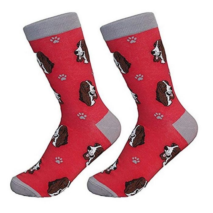 Basset Hound Socks - Unisex