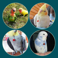 Parrot Bells Parrot Collar Necklace Parrot Decoration Parrot Scarf Clothes Budgerigar Peony Parrot Cockatiel Golden Sun Parrot - BIG FRENCHIES
