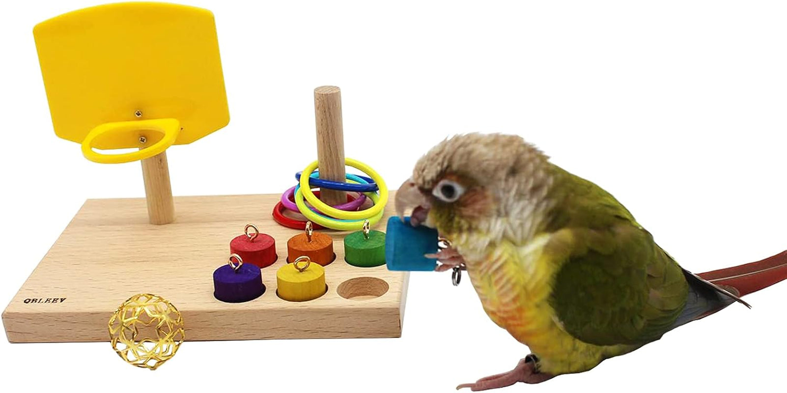 Engaging Bird Toys for Budgies and Parrots - BIG FRENCHIES