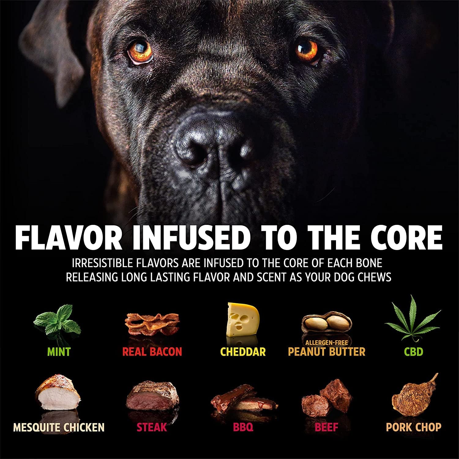 Nylon Dog Bone for Aggressive Chewers - BIG FRENCHIES