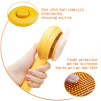 Cat Brushes for Indoor Cats - BIG FRENCHIES