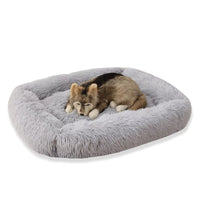 Best Washable Gray Plush Beds for Cats and Dogs - BIG FRENCHIES