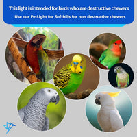 Happybird Lighting Bird Cage Light with Chew Guard - BIG FRENCHIES