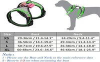Dog Harness+Leash Sets with Rhinestones – Sparkly Bowknot & Reflective Trim