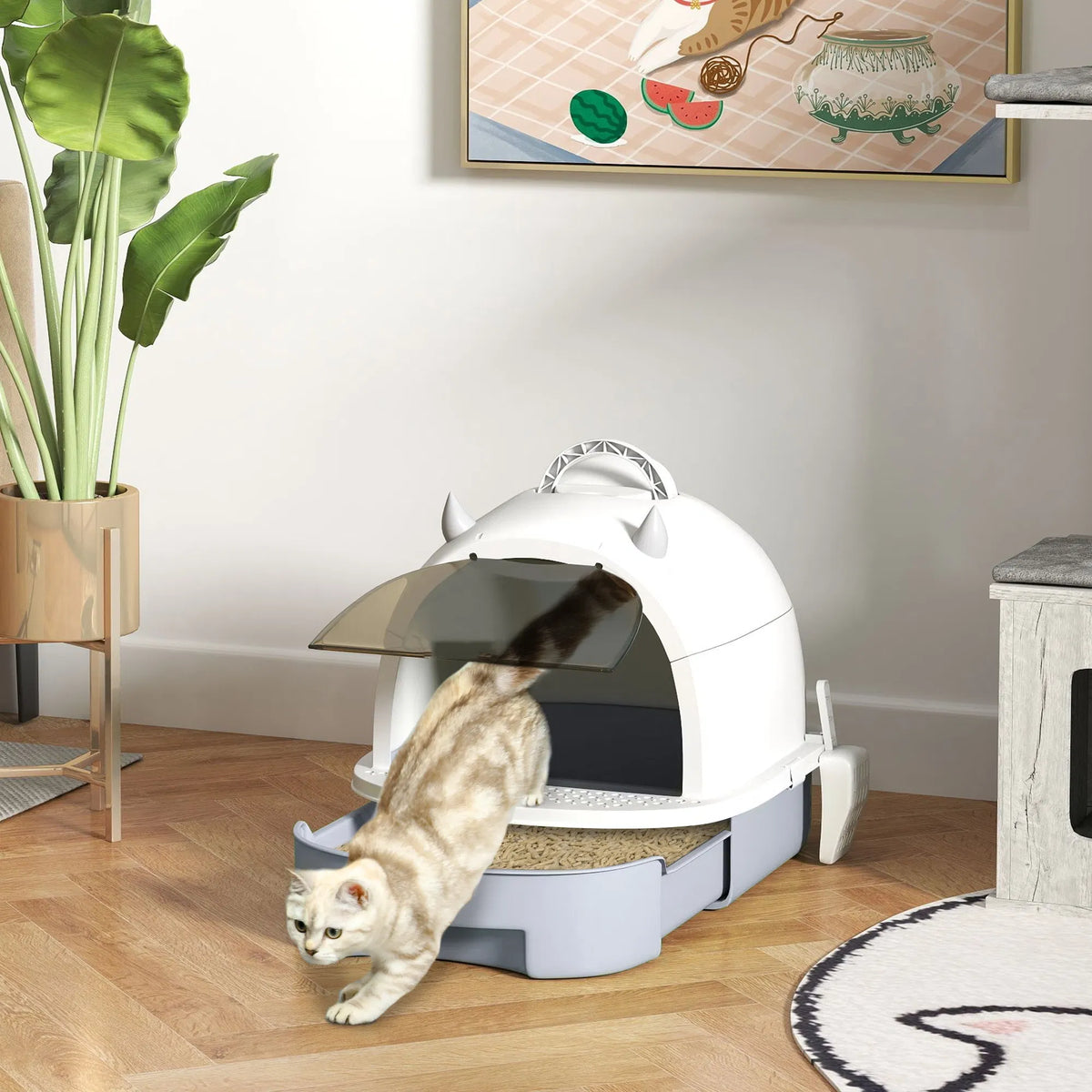Cat Litter Box, Cat Litter Box Enclosure