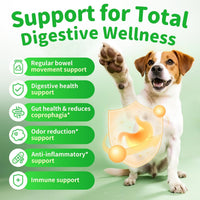 Dog Probiotics Digestive Enzymes,Pumpkin Fiber Chews For Gut Health, Constipation Upset Stomach Relief, Gas & Stool Supp