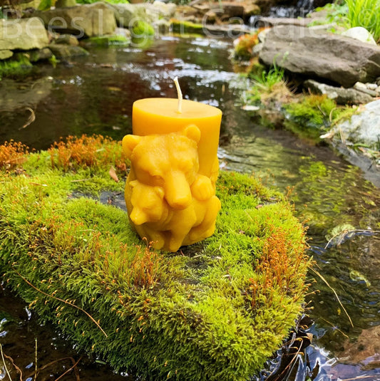 Bear Pillar Beeswax Candle - BIG FRENCHIES