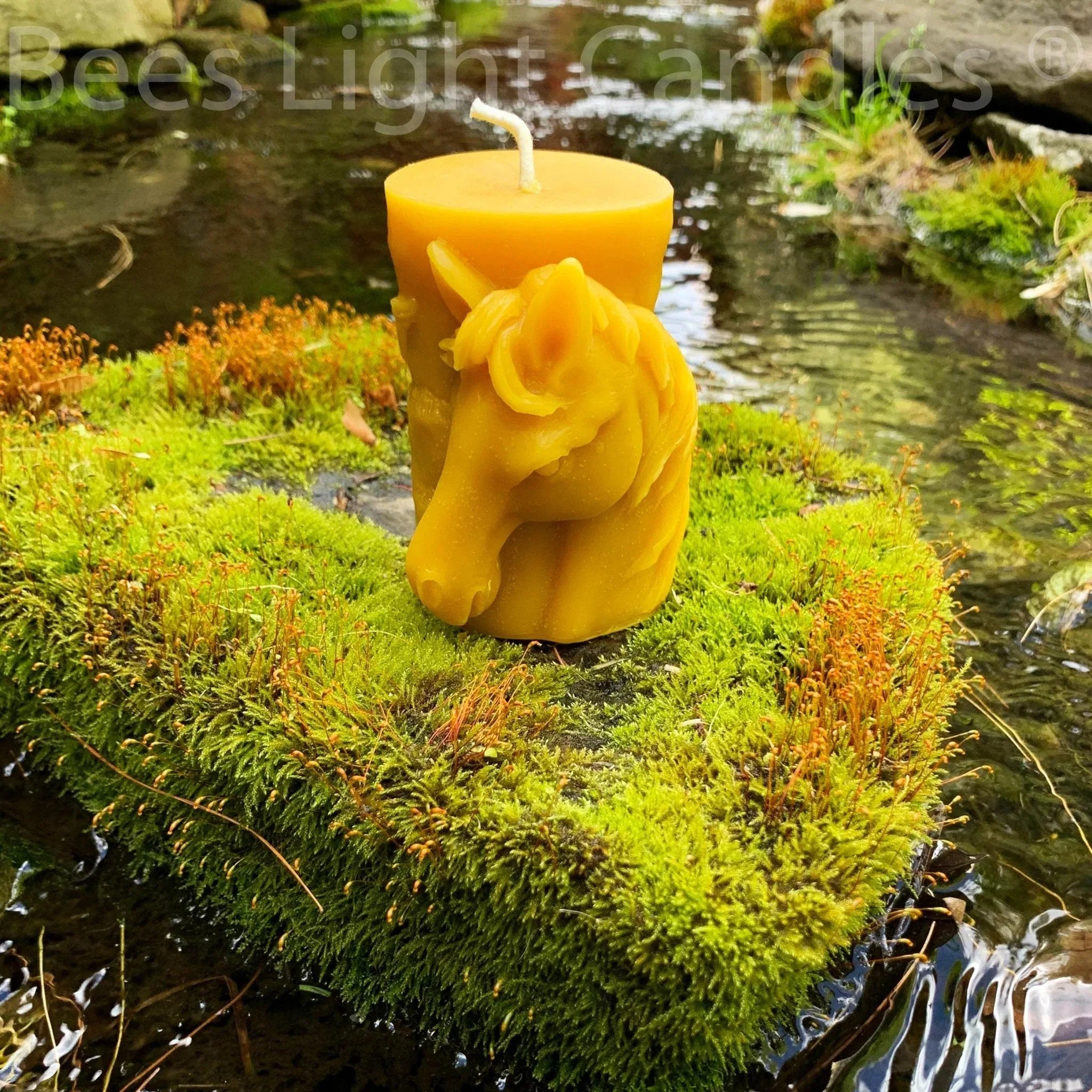 Animal Pillar Beeswax Candles - BIG FRENCHIES