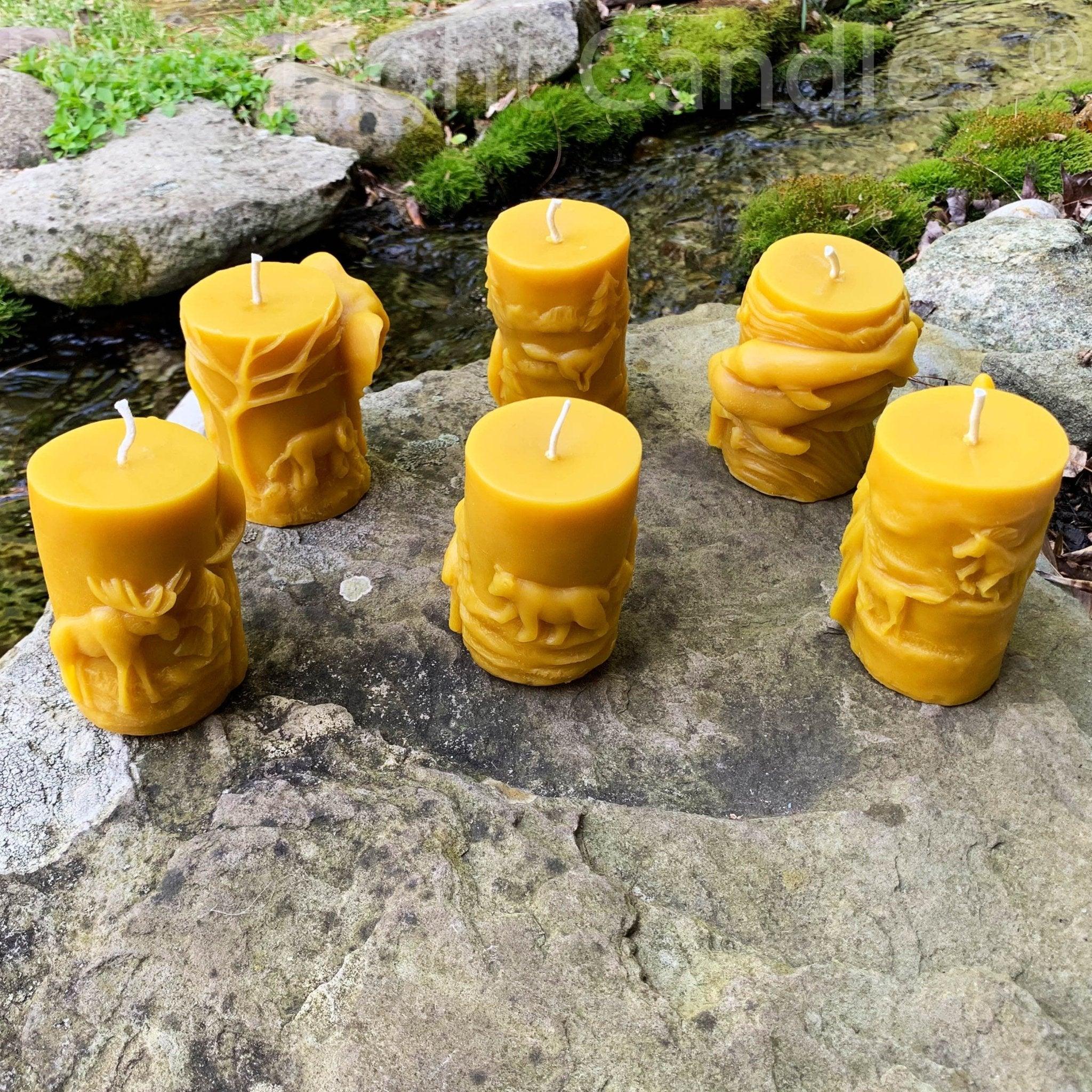 Animal Pillar Beeswax Candles - BIG FRENCHIES