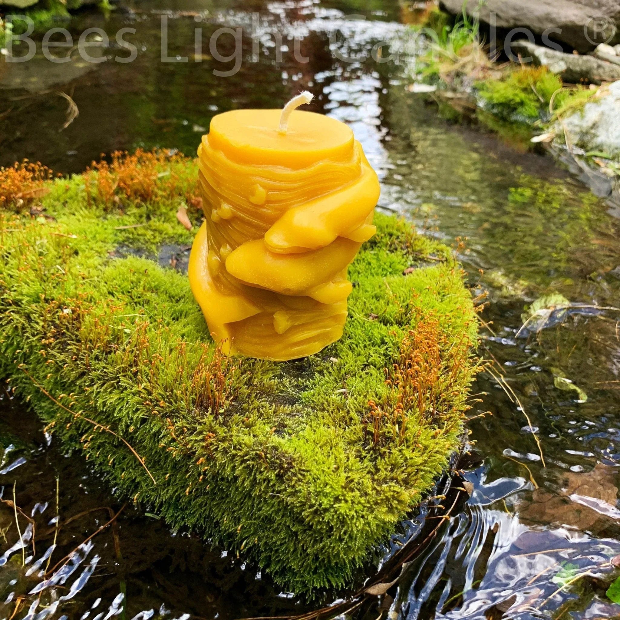 Animal Pillar Beeswax Candles - BIG FRENCHIES