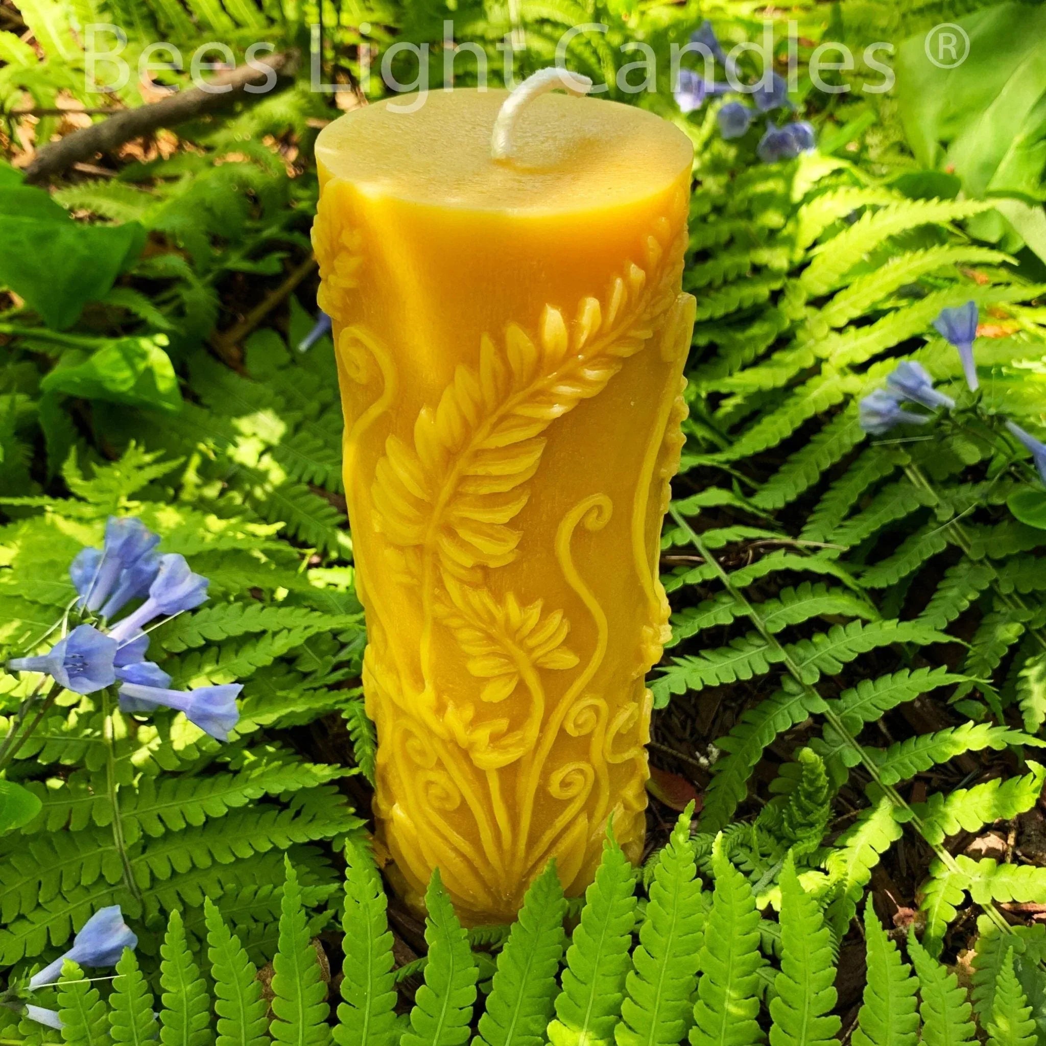 Fern Beeswax Candle Set Sphere & Pillar - BIG FRENCHIES