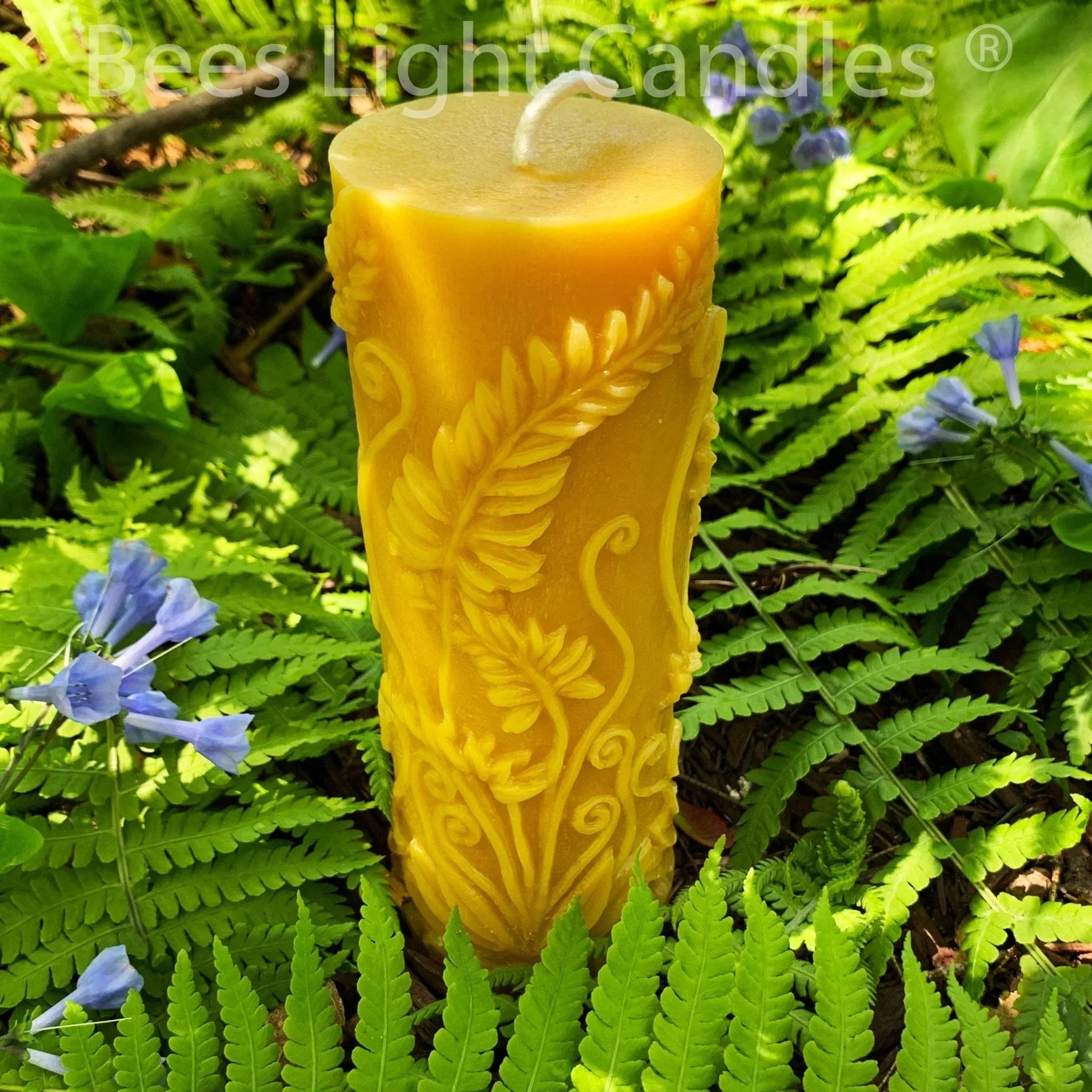 Fern Pillar Beeswax Candle - BIG FRENCHIES