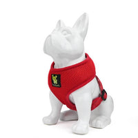 EcoBark Chery Red Dog Harness - Over-the-Head Soft Mesh Dog Vest Halter for Small to Medium Dogs and Puppies - BIG FRENCHIES