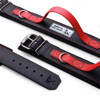 BESTIA DOG SPORT HANDLE COLLAR