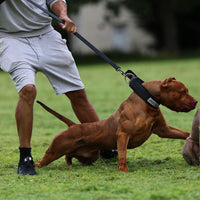 BESTIA DOG SPORT Tactical Leash
