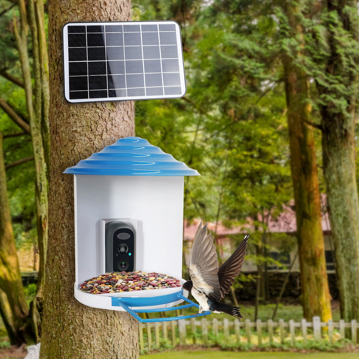 Smart Bird Feeder With Solar Powered Camera 1080P HD AI Identify PIR Motion Auto Capture Video Cloud Card Storage WiFi C