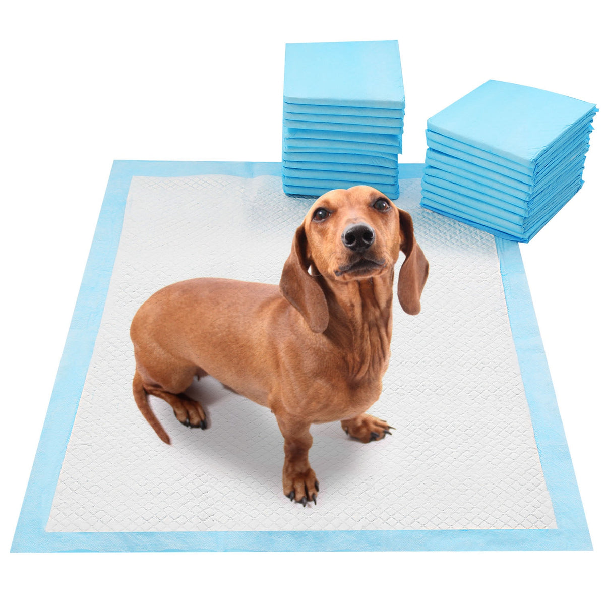 50Pcs Per Set Dog Training Pads Puppy Pee Pads Cat Wee Mats Potty-Train 24in X 18in M
