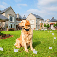 1Set Electric Dog Fence System Pet Tone Shock Boundary Containment Water Resistant Collar Receiver For Small Medium Larg