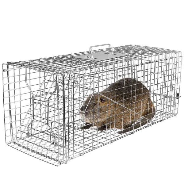 Humane Cat Trap Cage Catch Release Live Animal Rodent Cage Collapsible Galvanized Wire For Raccoons Beavers Groundhogs F