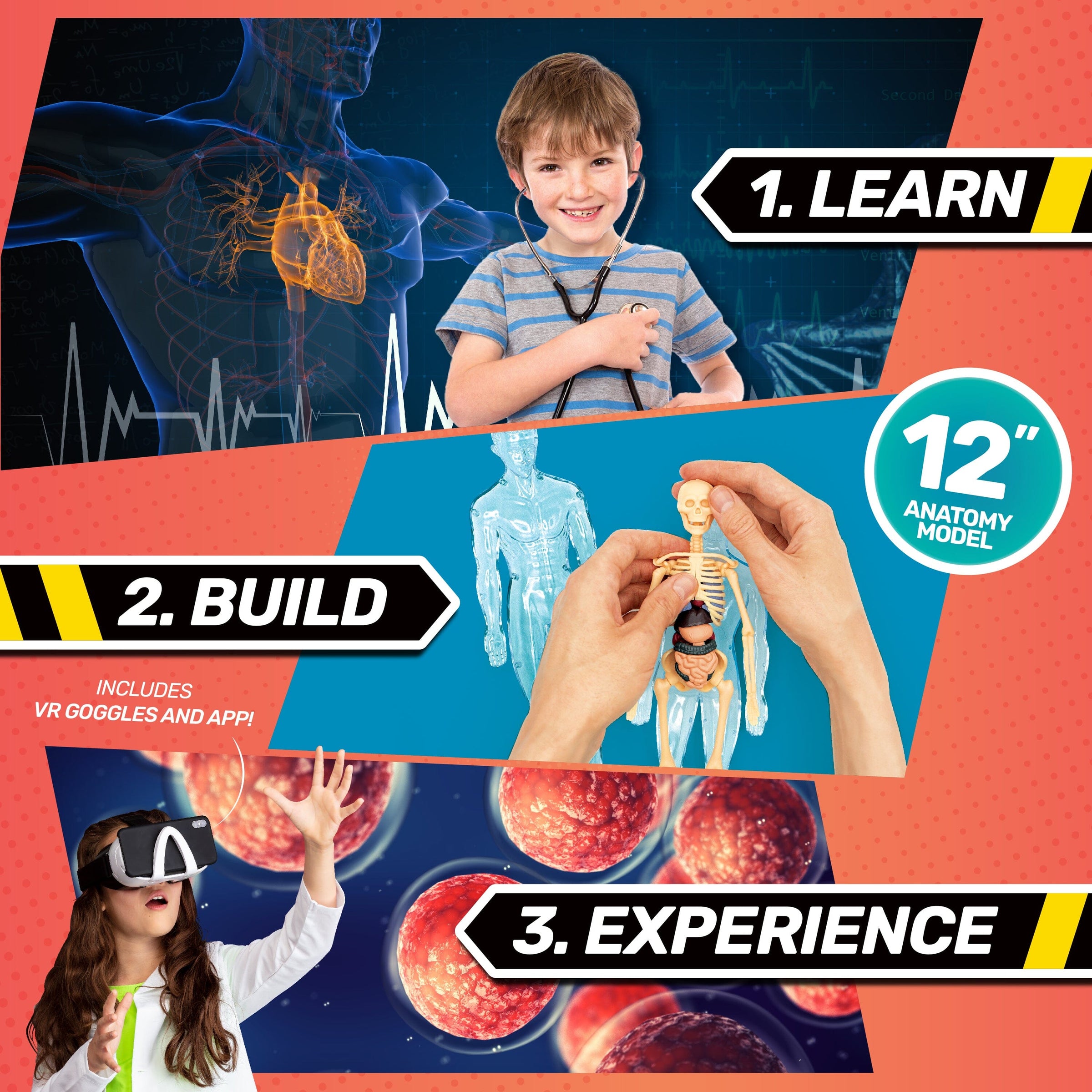 Bill Nye's BODY LAB VR Activity Set
