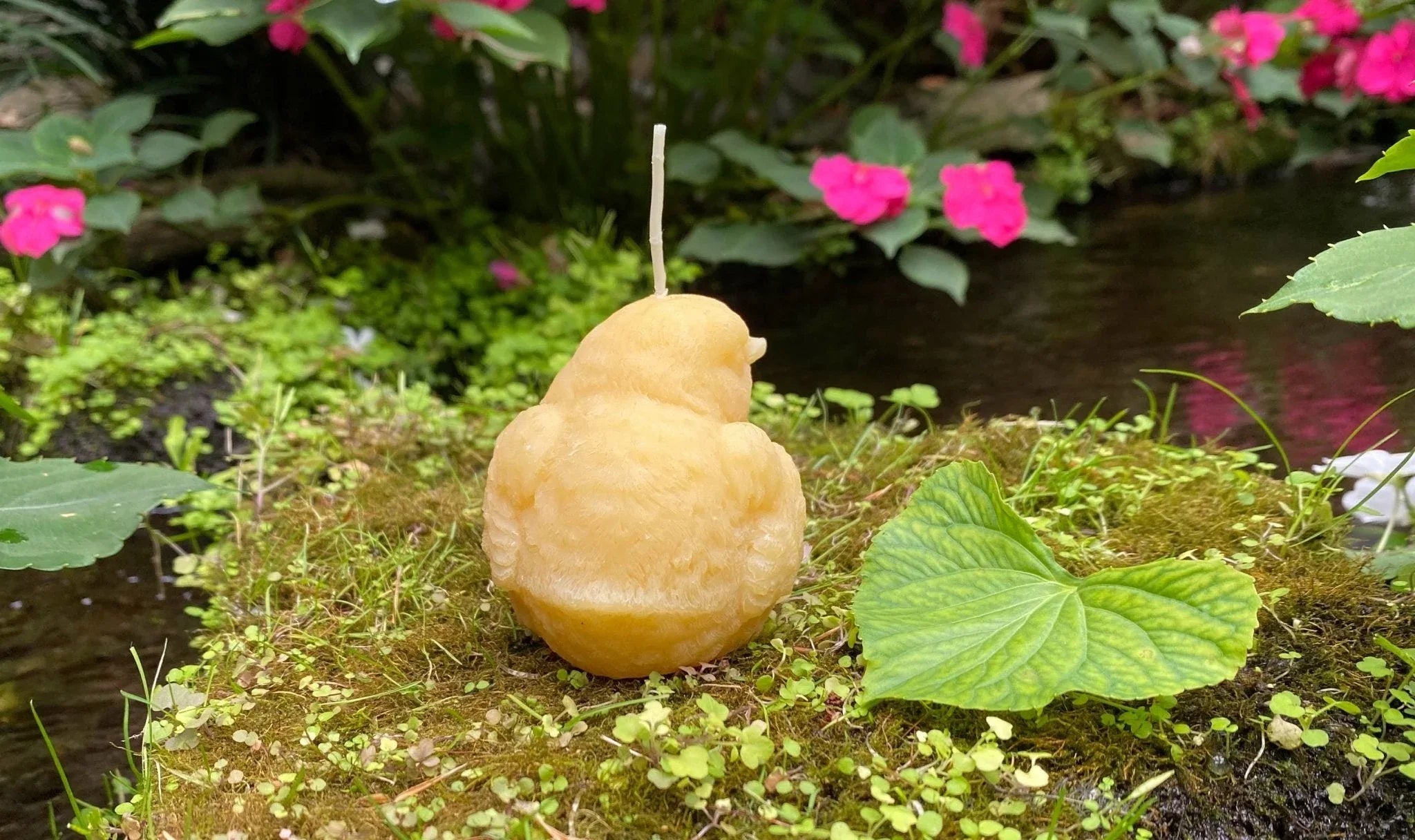 Birdy Perched Beeswax Candle - BIG FRENCHIES