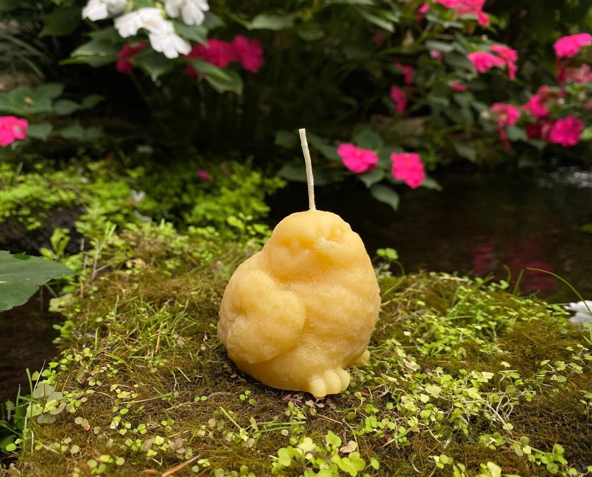 Birdy Perched Beeswax Candle - BIG FRENCHIES