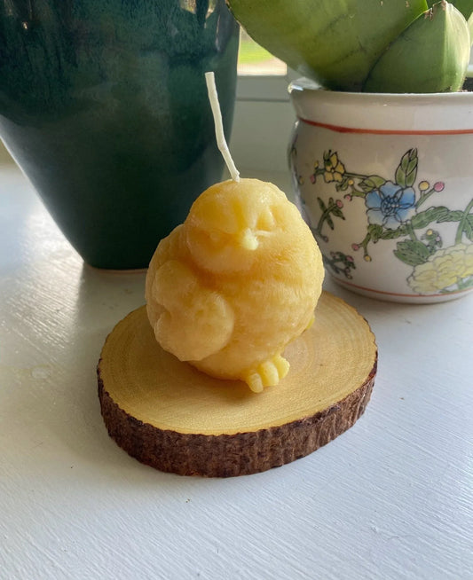 Birdy Perched Beeswax Candle - BIG FRENCHIES