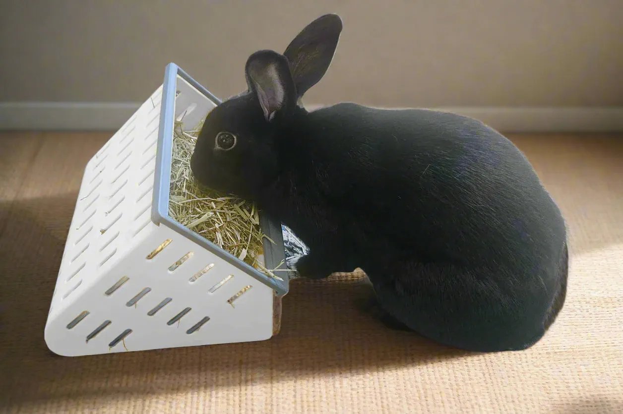 The Open Air Hay Feeder and Hay Roller Bundle