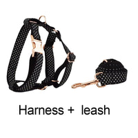 Personalized Black Polka Dot Classic Set